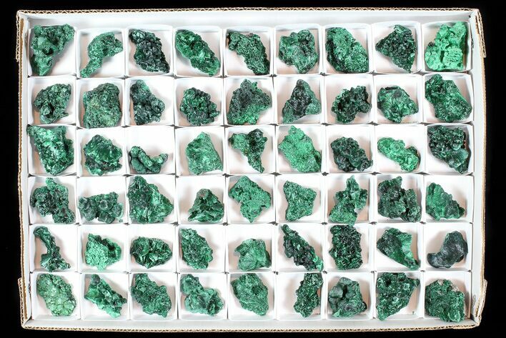 Lot: Gorgeous Fibrous Malachite From Congo - Pieces #77802